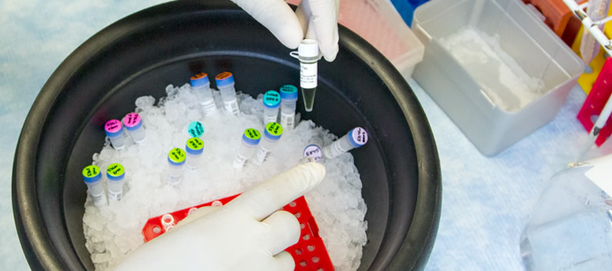 Trockeneis für den Transport von Impfstoffen, Probenmaterial und Transplantaten
